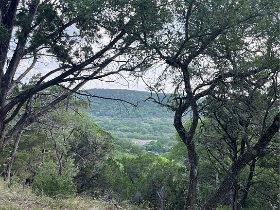 2nd image of 738 Olive Tree #778