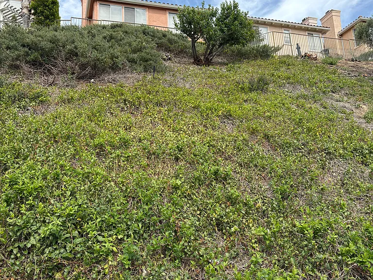 3657 Calle Jazmin — Photo 15