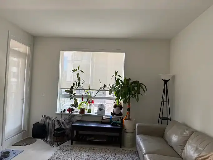 13439 94a Ave #208 — Photo 3