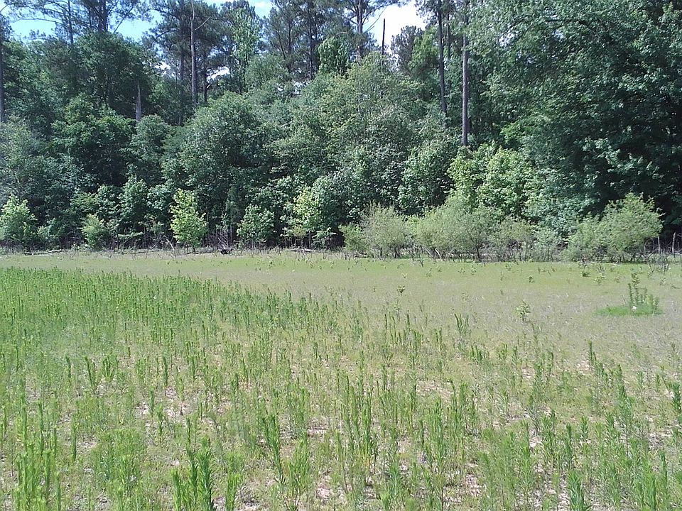 1st image of 200 Mill Creek Ln