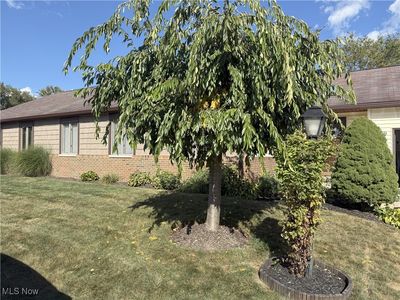 4196 Lancaster Ln, Kent, OH, 44240