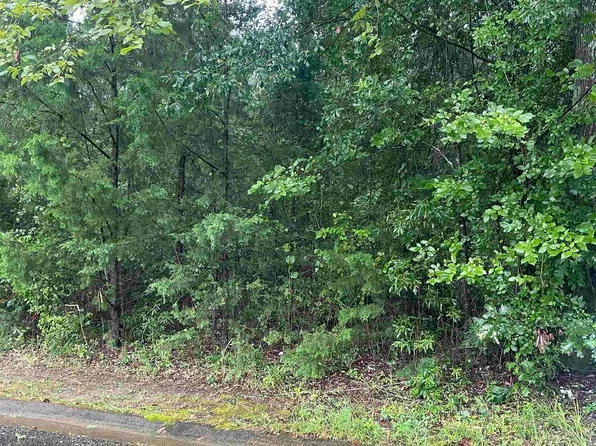 Red Oak Trl, Atlanta, TX 75551