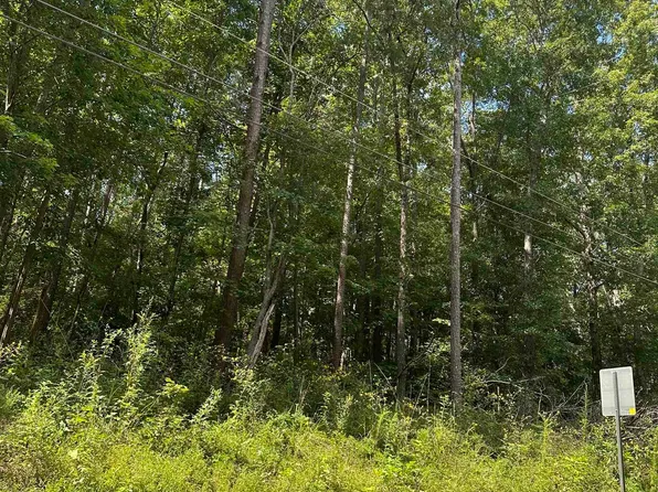 0 S Century Dr, Martin, GA 30557