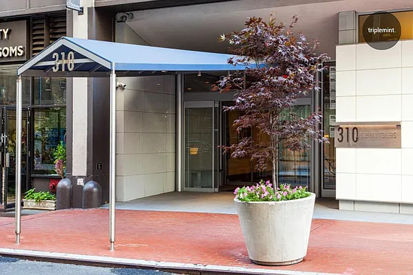 Sold by Triplemint | media 17