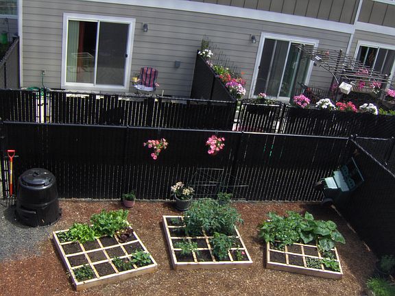 Square foot garden in back