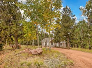 541 Brown Bear Dr, Cripple Creek, CO 80813