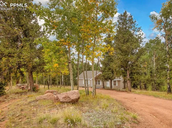 541 Brown Bear Dr, Cripple Creek, CO 80813