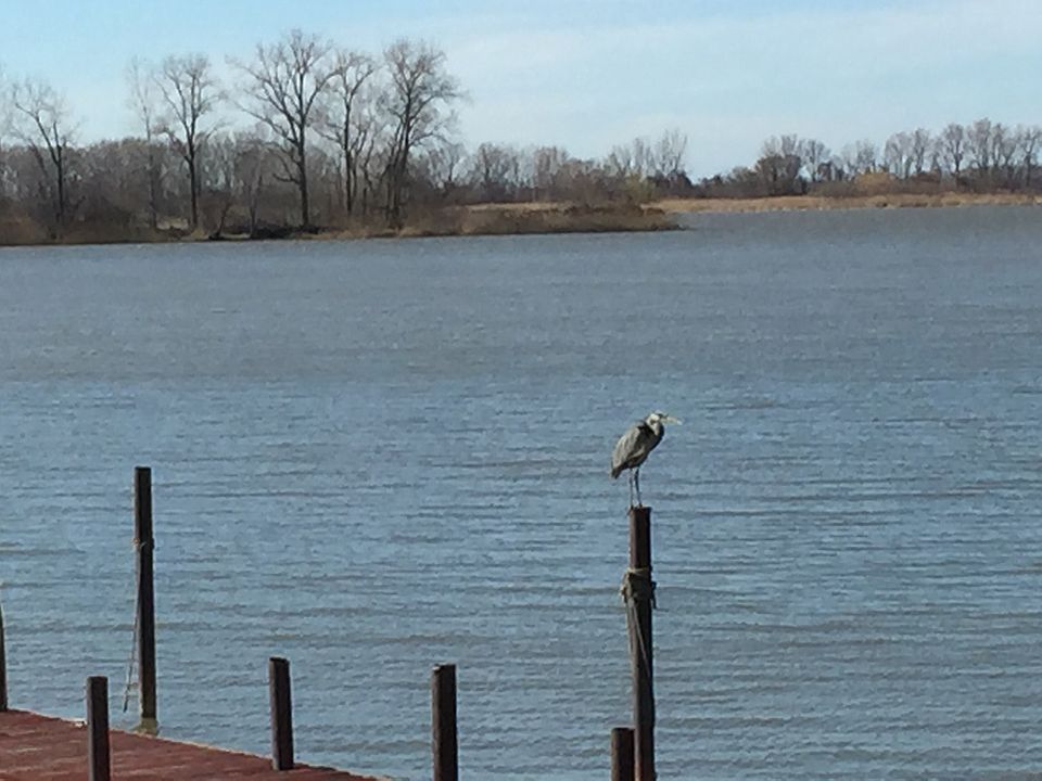 2nd image of 6469 Edgewater Dr