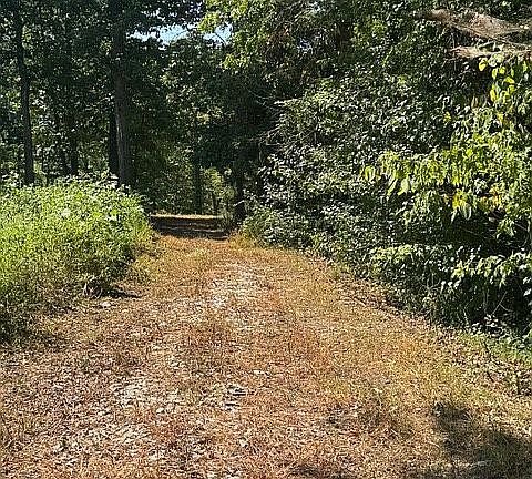 3rd image of 0 High Moore Rd