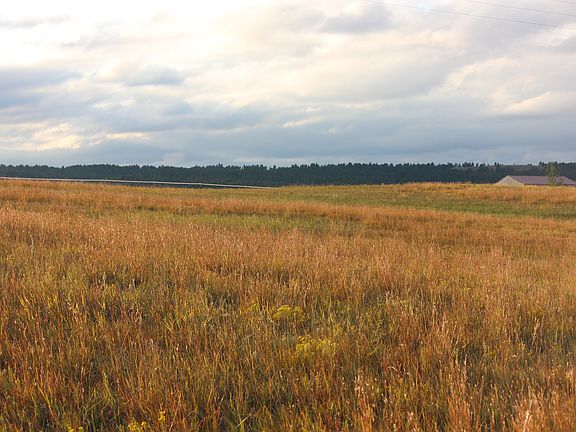3rd image of Tbd Battle Mountain Pkwy