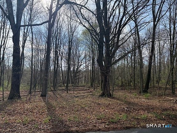 4th image of 350 Deercliff Road