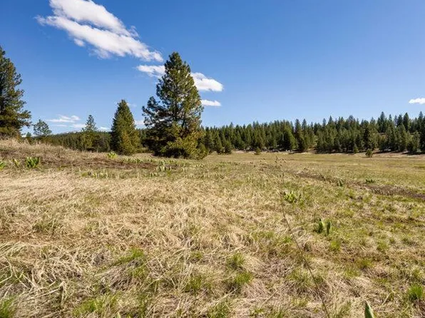 37 To Be Determined, McCall, ID 83638