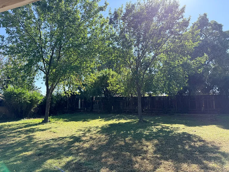 1435 E Cedar St — Photo 17
