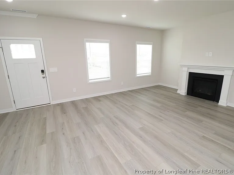 4121 Hazel Branch Way — Photo 3