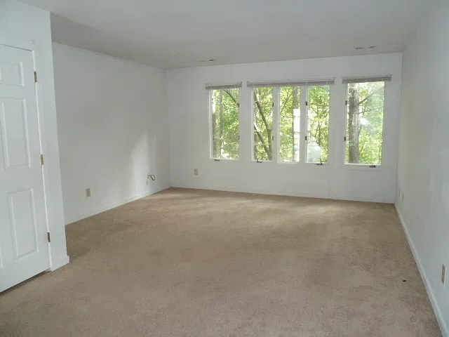 Mill Creek D-9 — Photo 3