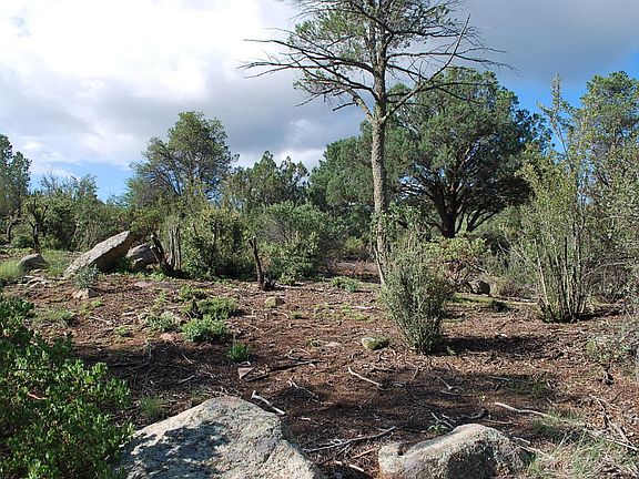 3rd image of 1705 Thunderbird Cir