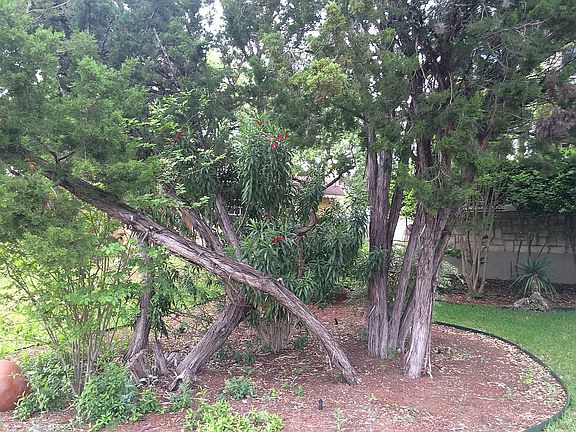 3rd image of 7303 Moss Brook Dr