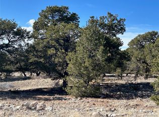2841 N Carefree Way, Crestone, CO 81131