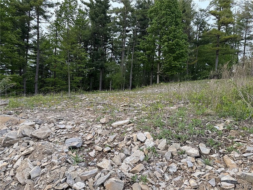 2nd image of 4642 Pauli Dr #7