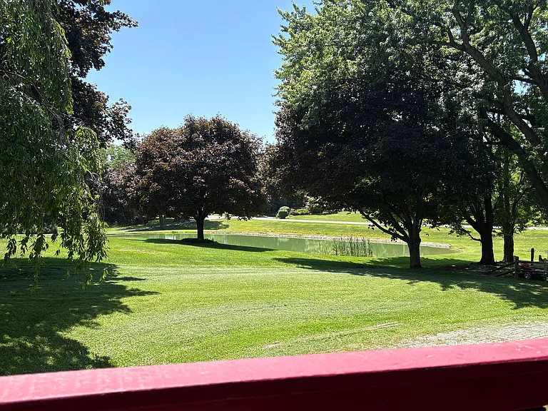 View from porch June 24,2025