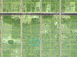 10455 Flikkema Ave, Hastings, FL 32145