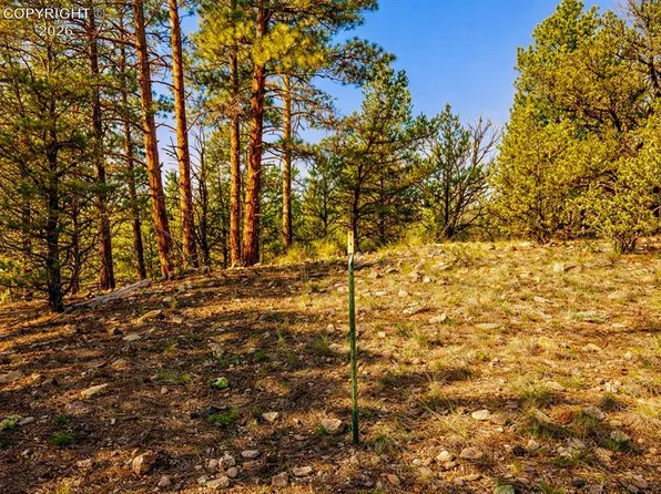 L 10th Trl, Cotopaxi, CO 81223