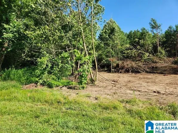 132 Sherwood Dr, Altoona, AL 35952