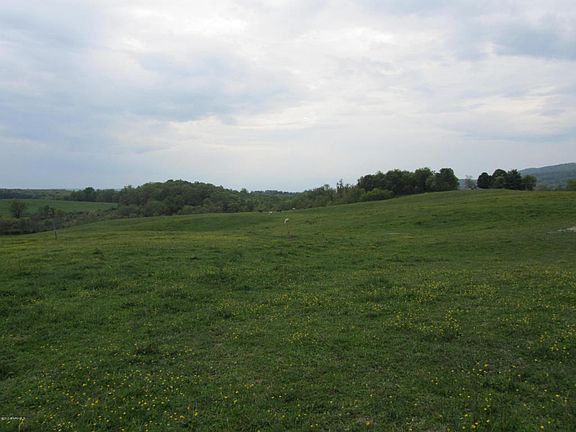 5th image of 203 Farmingdale Lane