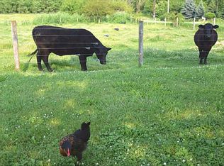 921 Burr Oaks Rd, Springville, IA 52336