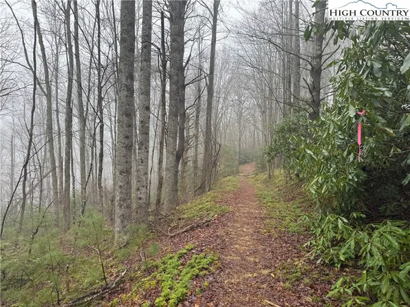 TBD Rainbow Mountain Road, Boone, NC 28607