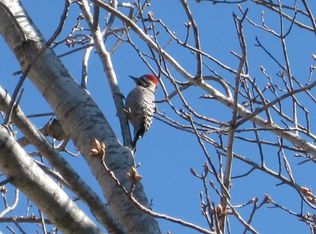 131 Catfish Cv, Dripping Springs, TX 78620