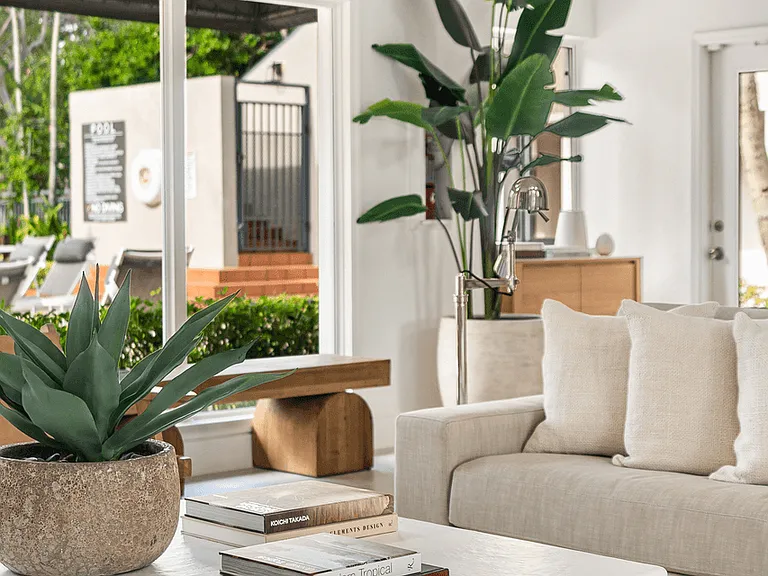 Coconut Palm Club Apartments — Photo 17