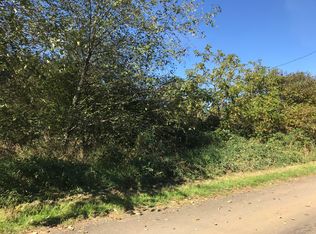 23 E Valley Rd, Skamokawa, WA 98647