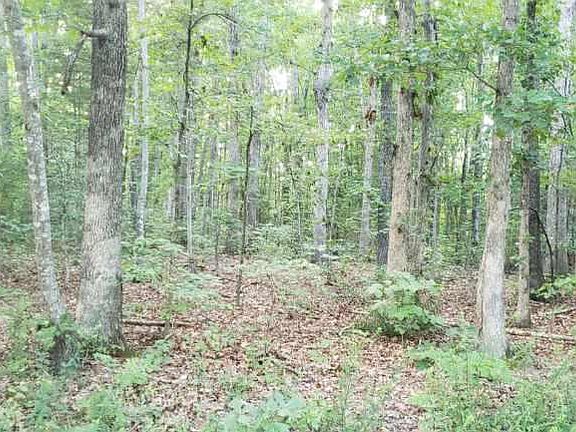 lot interior-mixed wooded