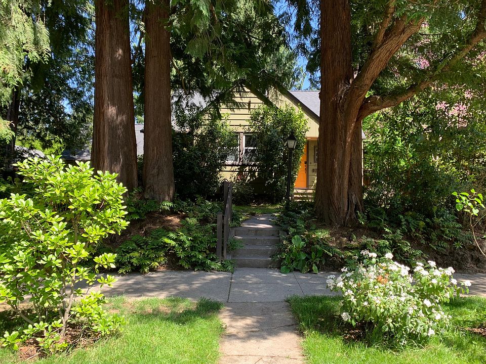 10 Western Red Cedars encircle the house. They are the sentinels! :)