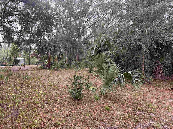 2nd image of 116 Orange Tree Rd