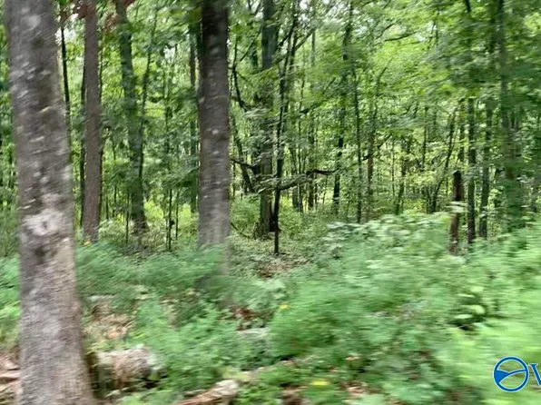 Keel Mountain Rd, Gurley, AL 35748