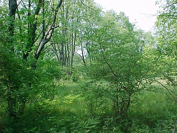 3rd image of 8855 Edgewater Dr