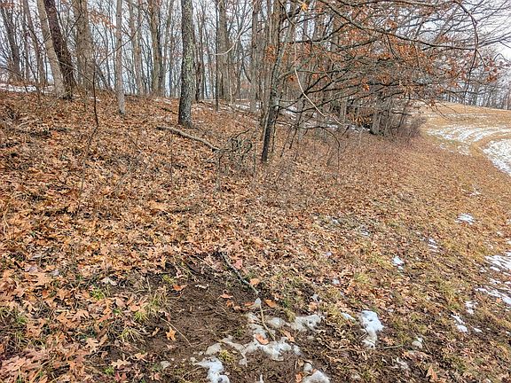 3rd image of 0 Township Road 233 Tract 12