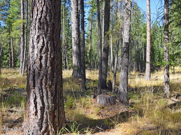 Nna Moon Shadow Rd, Bonners Ferry, ID 83805