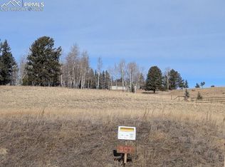 307 Pinaceae Hts, Divide, CO 80814