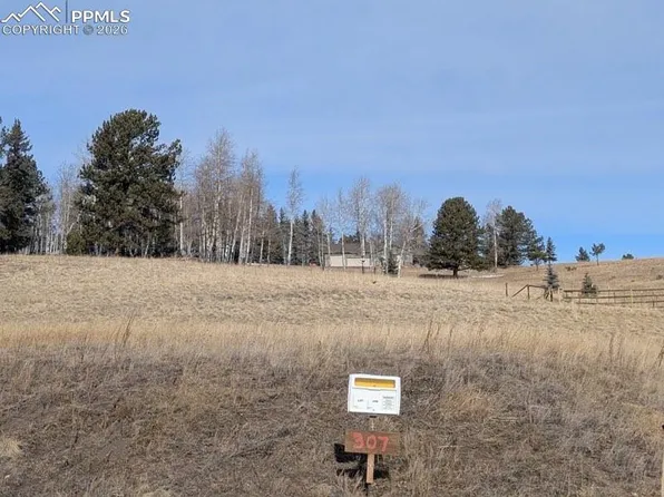 307 Pinaceae Hts, Divide, CO 80814