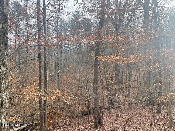 5th image of 1008 Blair Loop Rd