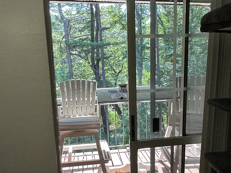 deck view from living room