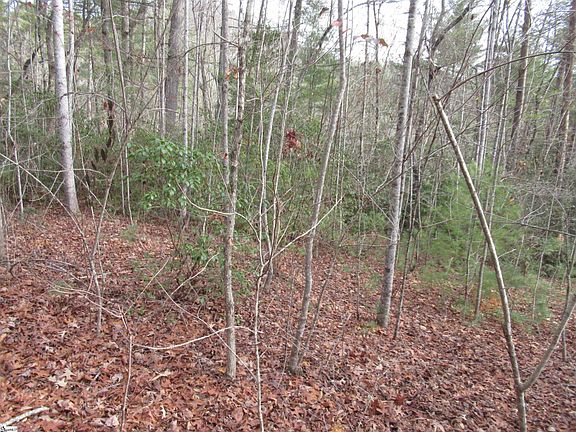 4th image of 116 Fireside Ln