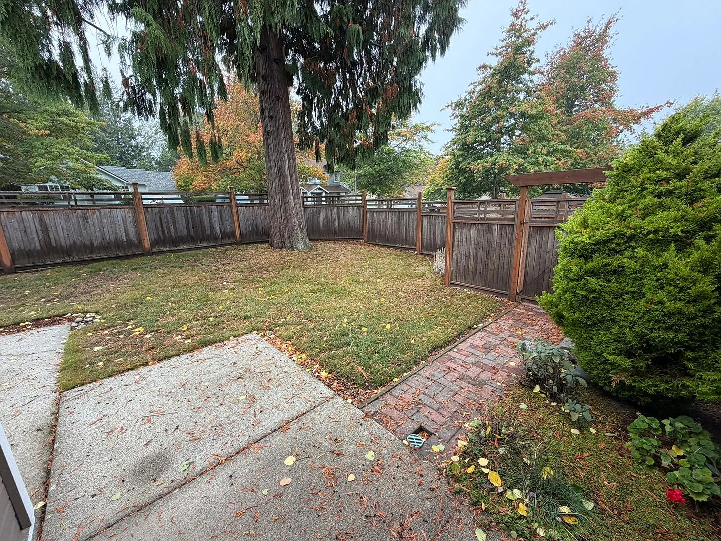 4602 Blakely Drive — Photo 4
