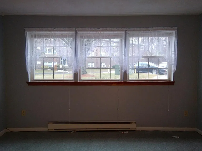 Livingroom windows with new mini blinds and lace curtains.