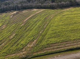 LOT 3 Gilley Mill Rd, Headland, AL 36345