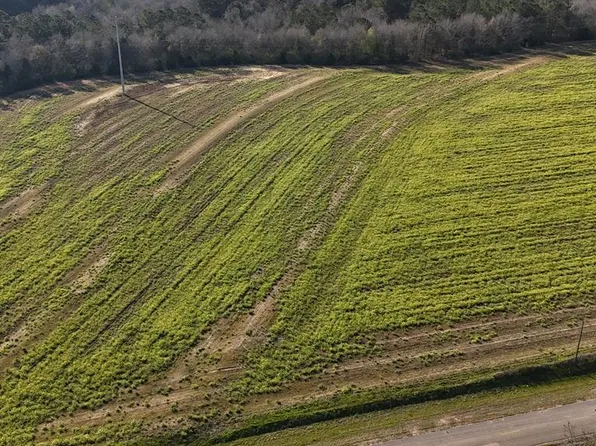 LOT 3 Gilley Mill Rd, Headland, AL 36345