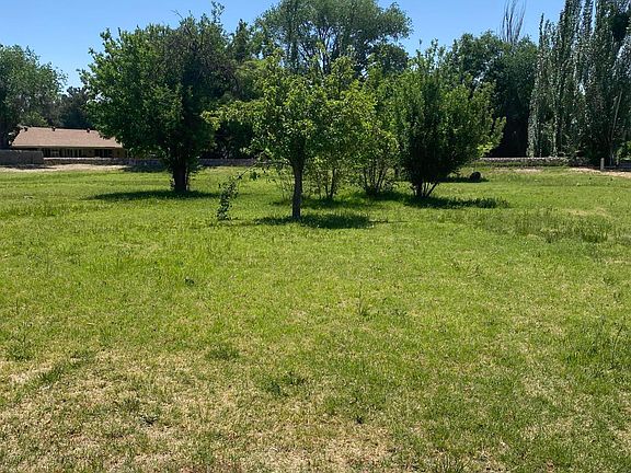 4th image of 728 Live Oak Dr